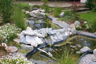 Садовые пруды: секреты создания и ухода за прудом