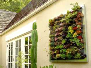 Зеленые стены: создание вертикального сада из растений