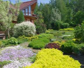 Как выбрать ароматные растения для создания приятного запаха в саду