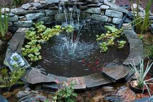 Маленький садовый пруд: идеи для создания уединенного места