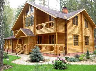 Виды древесины и их особенности: как выбрать подходящий материал для строительства дома
